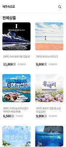 관광지 입장권 화면