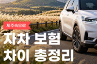 제주도 렌트카 제주속으로 자차 보험 차이점 비교 총정리